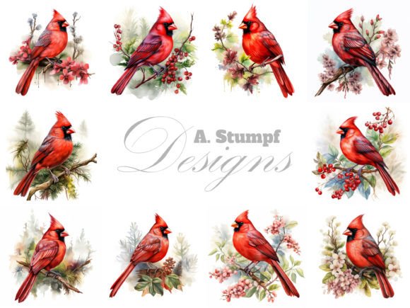 Cardinal Bird Watercolor Clipart Set