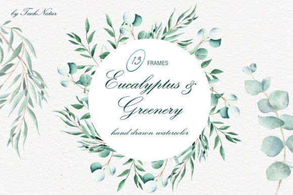 Eucalyptus Greenery Watercolor Frames: A Designer's Guide