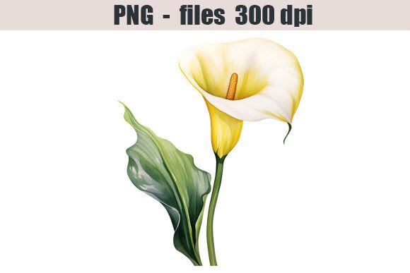 Flower Watercolor Clipart – A Designer's Guide to Soft Botanical Assets