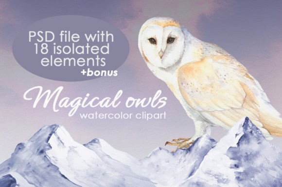 Magical Owls Watercolor Clipart
