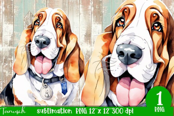 Watercolor Basset Hound Sublimation PNG