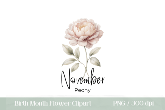 Watercolor Peony PNG Birth Month Flower: A Designer's Guide